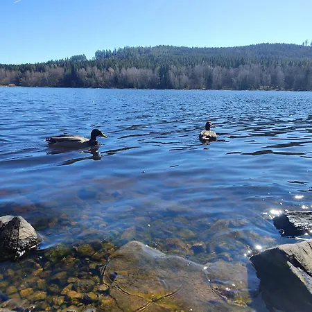 Lipno Pearl 4 Lipno nad Vltavou